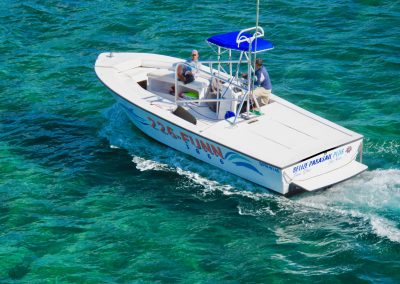 Belize Parasail Plus